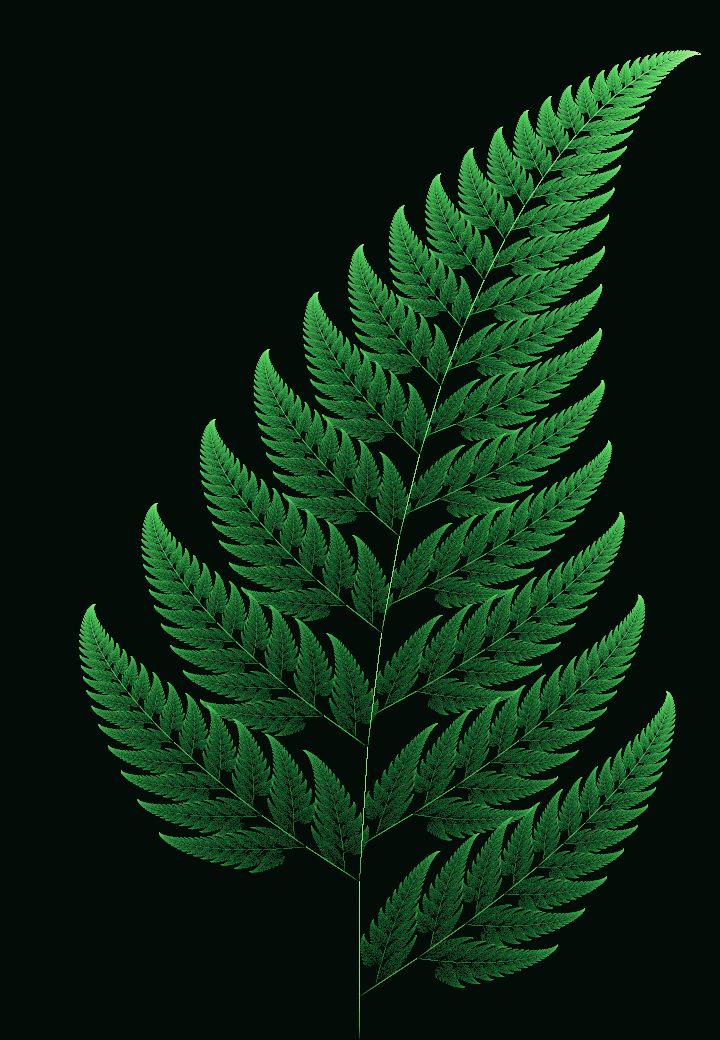 Barnsley fern